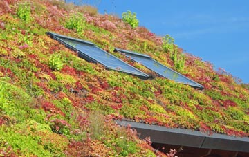 Greenrigg living roof systems