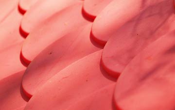 Greenrigg plastic roof costs