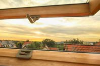 rated Greenrigg roof window companies